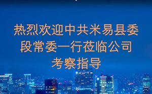 熱烈歡迎中共米易縣委段常委一行蒞臨公司考察指導(dǎo)
